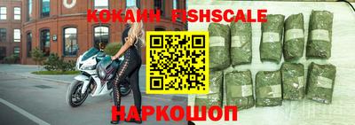 a pvp Кингисепп