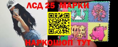 спиды Кимры